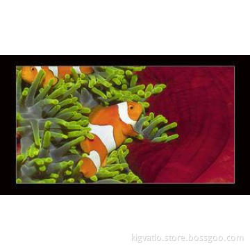 Cinema / Lobby Wall Mounted Digital Signage , 19 Inch Digit